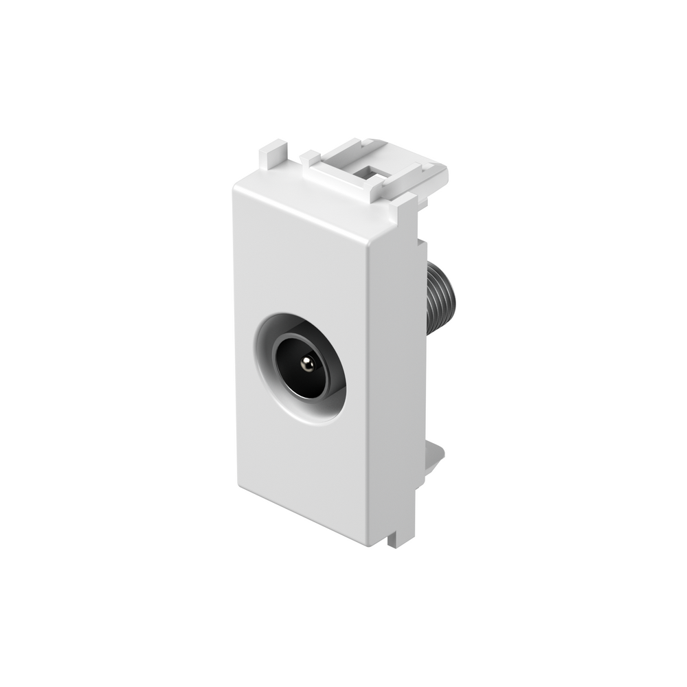 SOCKET TV