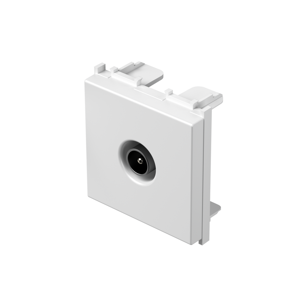 SOCKET TV BASIC